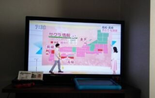 Japan hat einzigartige Fernsehshows, wofür sie weltweit bekannt sind.