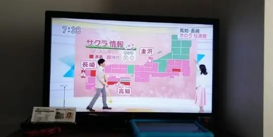 Japan hat einzigartige Fernsehshows, wofür sie weltweit bekannt sind.