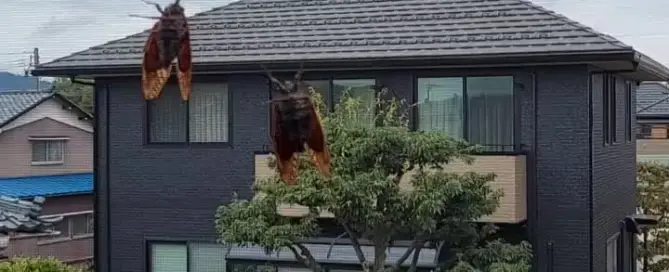 Zwei neugierige Gäste in unserem Haus.
