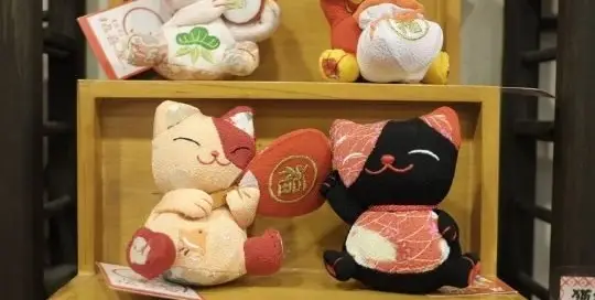 Bereit für noch mehr japanische Sprache, noch mehr japanische Kultur und noch mehr Japan für Zuhause.