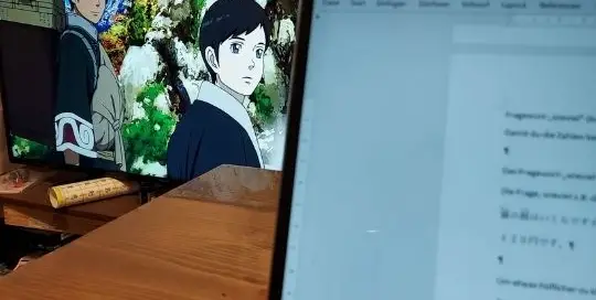 Japanische Bücher schreiben und nebenbei Animes auf Japanisch ansehen.