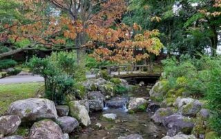 Die Parks in Japan erinnern an japanische Gärten.