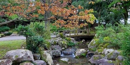 Die Parks in Japan erinnern an japanische Gärten.