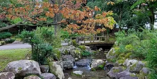 Die Parks in Japan erinnern an japanische Gärten.
