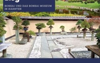 Veronika, die Praktikantin von japanischlernen.at, erzählt dir in ihrem Blog-Beitrag mehr über Bonsais und das Bonsai Museum in Kärnten.