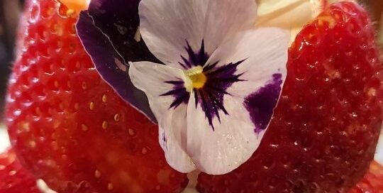 Erdbeer-Eis-Becher werden in Japan oft mit Blumen verziert.