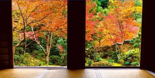 Japanisch lesen im Herbst, lässt dich fühlen wie in Japan.