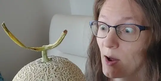 Manuela Ito-Loidl hat in Japan eine Melone gefunden, die aussieht wie eine Teufelsfrucht aus dem japanischen Anime One Piece.