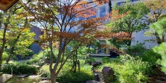 Japanische Gärten sind ein Zeichen für Japan.
