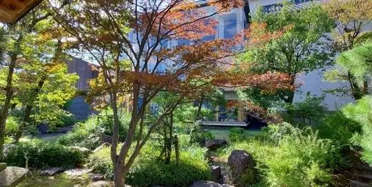 Japanische Gärten sind ein Zeichen für Japan.