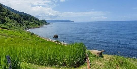 Japanische Reisfelder vor dem japanischen Meer gehören zu der japanischen Landschaft dazu und verschönern den Ausblick.
