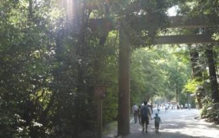 Shinrin Yoku, auch Waldbaden bekannt, hat seine Wurzeln in Japan und dient zur Stresslinderung.