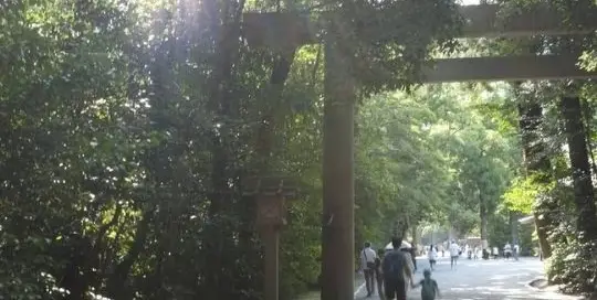 Shinrin Yoku, auch Waldbaden bekannt, hat seine Wurzeln in Japan und dient zur Stresslinderung.