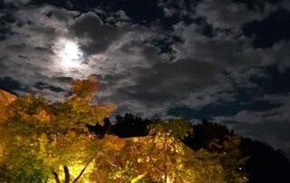 Der Vollmond über den japanischen herbstlichen Bäumen im Herbst nennt sich auch Erntemond.