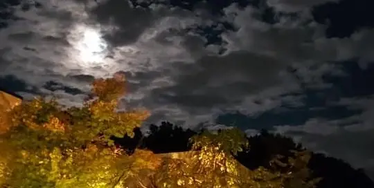 Der Vollmond über den japanischen herbstlichen Bäumen im Herbst nennt sich auch Erntemond.