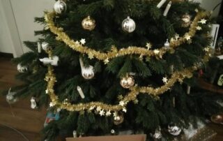 Das Japanischbuch von Manuela Ito-Loidl 'Japanisch lesen für Anfänger' liegt dieses Jahr bei vielen unter dem Weihnachtsbaum.