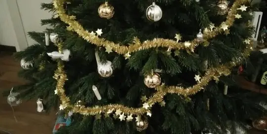 Das Japanischbuch von Manuela Ito-Loidl 'Japanisch lesen für Anfänger' liegt dieses Jahr bei vielen unter dem Weihnachtsbaum.