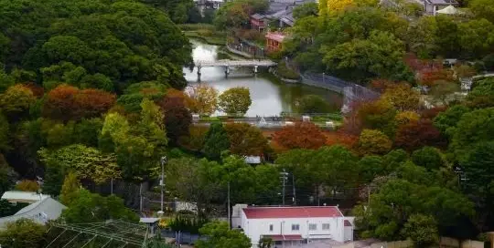 Der Geburtstag des japanischen Kaisers gilt als japanischer Feiertag.