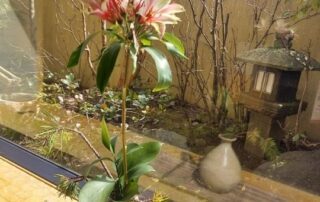 Eine großartige Aussicht auf den Garten von einem japanischen Lokal.
