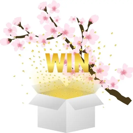 Das Kirschblüten-Gewinnspiel ist vorbei!