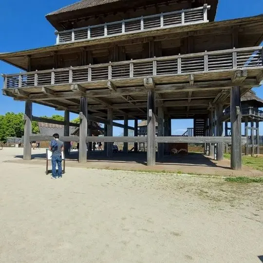 In dem japanischen historischen Park Yoshinogari sind viele verschiedene Gebäude.
