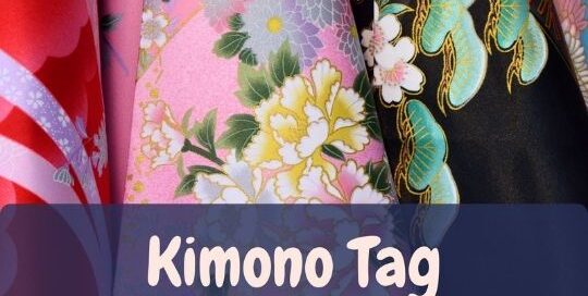 Der Kimono gehört zu der traditionellen japanischen Kleidung und wird mit Japan in Verbindung gebracht.