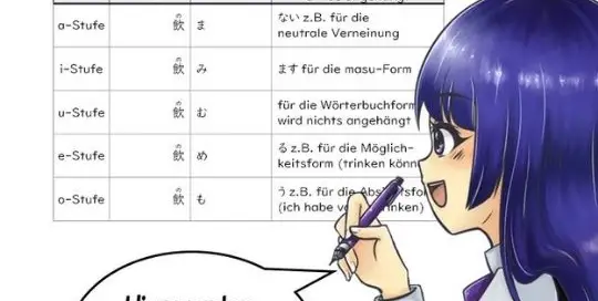 Viki von japanischlernen.at zeigt dir kleine Einblicke in das Buch, welche dir beim Japanisch lernen helfen sollen.