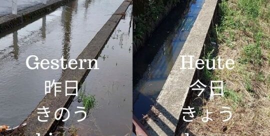 Gestern hatten wir Hochwasser in der Stadt Fukui in Japan.