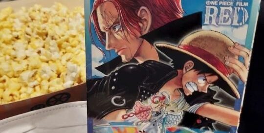 Der neue Film von dem Anime One Piece ist gerade in den japanischen Kinos.