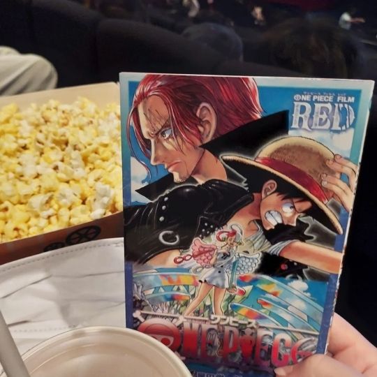 Der neue Film von dem Anime One Piece ist gerade in den japanischen Kinos.