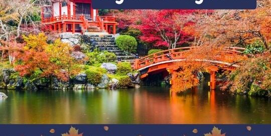 Jedes Jahr am 22. oder 23. September gilt in Japan der als Staatsfeiertag, was mit „Herbst-Tagundnachtgleiche“ übersetzt werden kann.