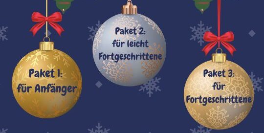 Weihnachten naht - wie soll man da zum Japanisch lernen kommen?! Natürlich mit dem Japanisch-Adventkalender von japanischlernen.at.