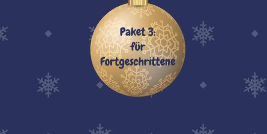 Paket 3 ist für Fortgeschrittene geeignet. Voraussetzung: Voraussetzung: ca. JLPT N4-Level bzw. ab dem A2-Kurs