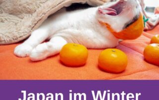 Wie wird in Japan der Winter gehandhabt? Was macht man? Was ist üblich? All das beantwortet dir Manuela in der neuen Podcastfolge 'Japan im Winter'.