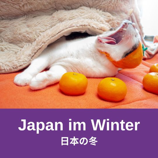Wie wird in Japan der Winter gehandhabt? Was macht man? Was ist üblich? All das beantwortet dir Manuela in der neuen Podcastfolge 'Japan im Winter'.