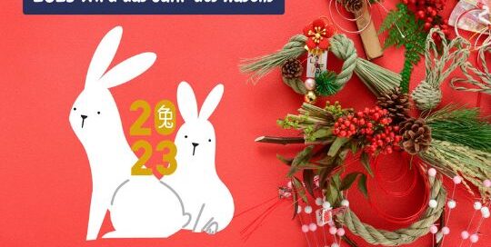 Das neue Jahr kommt mit schnellen Schritten auf uns zu - beginn es mit Japanisch lernen.
