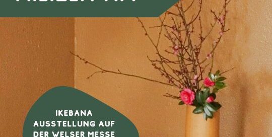 Von Freitag bis Sonntag diese Woche findet in Wien eine große Ikebana Ausstellung statt.