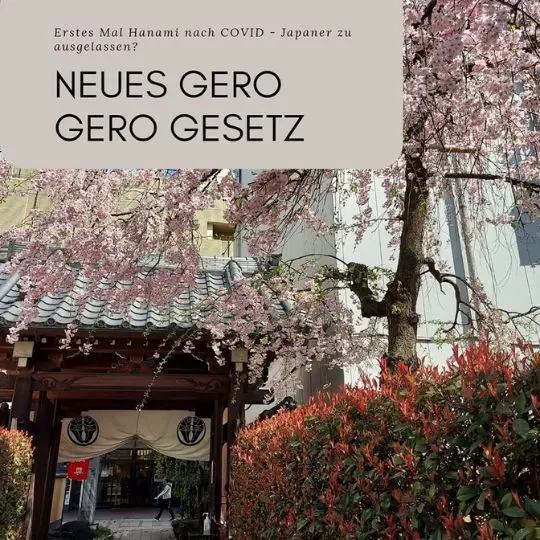 Das erste Mal Hanami nach COVID und anscheinend sind die  Japaner zu ausgelassen?