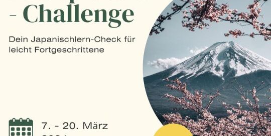 Dein Japanisch-Check: 2 Wochen durchleuchte ich dein Japanisch auf alle wichtigen Punkte der japanischen Sprache (ca. A1 Niveau). Es sitzt noch nicht alles? Das holen wir gemeinsam nach!
