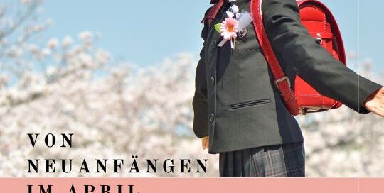 Schulen in Japan funktionieren nach dem 6-3-3-4 Prinzip. 6 Jahre Grundschule, 3 Jahre Unterstufe, 3 Jahre Oberstufe und dann noch 4 Jahre Uni.