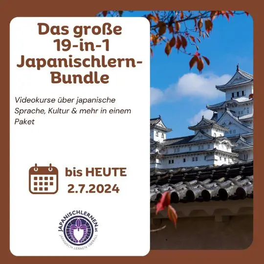Das 19-teilige All-in-One Paket ist etwas für dich, wenn du dich neben deinem Japanisch Lernstudium mit allen Aspekten an zusätzlichen Informationen rund um Grammatik, Lesen, Kanji, Japan, Kultur und Essen abdecken möchtest.