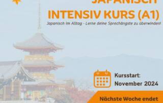 Du willst auf Japanisch sprechen können? Dann ist dieser Kurs perfekt für dich! Bringe innerhalb von nur 9 Wochen deine Sprachfähigkeiten auf ein neues Level mit Conny-Sensei und Elli-Sensei.
