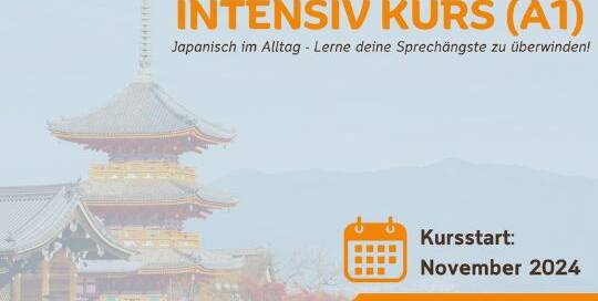 Du willst auf Japanisch sprechen können? Dann ist dieser Kurs perfekt für dich! Bringe innerhalb von nur 9 Wochen deine Sprachfähigkeiten auf ein neues Level mit Conny-Sensei und Elli-Sensei.