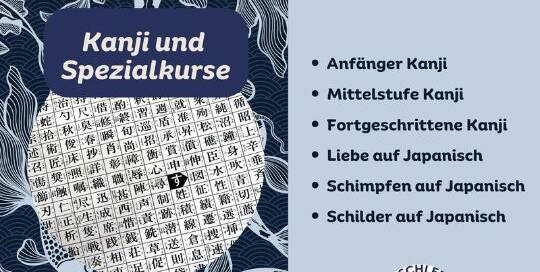 Du willst endlich mit dem Kanjilernen durchstarten oder dir neue Schriftzeichnen aneignen und dabei auch noch etwas über die Kultur lernen? Dann ist dieses Paket genau das richtig für dich!