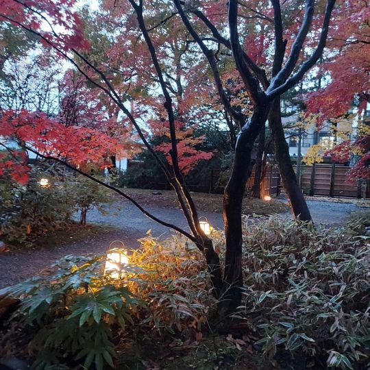 Kürzlich kam mich einer meiner Kursteilnehmer hier in Fukui besuchen. Fukui ist eine schöne Präfektur mit super Essen, viel zum Ansehen (Dinos, Schreine, Tempel, neu aufgebaute Stadt aus dem Mittelalter, schöner Garten mit Adeligen-Residenz, interessanen Museen...) und wenig Touristen. Wir sind auch seit März diesen Jahres mit Shinkansen zu erreichen. Wer also eine Alternative zu Kyoto sucht...