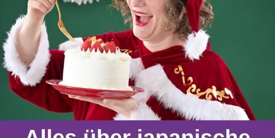 Die meisten Leute wissen, dass man in Japan zu Weihnachten Erdbeertorte isst. Dass es aber noch viele andere Kuchenvarianten gibt (sogar für Haustiere), wusste ich bis vor kurzem noch nicht. Deshalb habe ich für diese Folge von verschiedenen Läden Flyer für Kurisumasukeeki クリスマスケーキ mitgebracht!