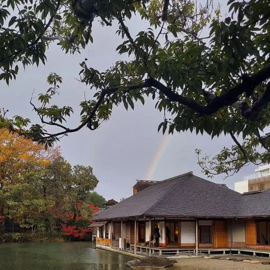 Kürzlich kam mich einer meiner Kursteilnehmer hier in Fukui besuchen. Fukui ist eine schöne Präfektur mit super Essen, viel zum Ansehen (Dinos, Schreine, Tempel, neu aufgebaute Stadt aus dem Mittelalter, schöner Garten mit Adeligen-Residenz, interessanen Museen...) und wenig Touristen. Wir sind auch seit März diesen Jahres mit Shinkansen zu erreichen.
Wer also eine Alternative zu Kyoto sucht...