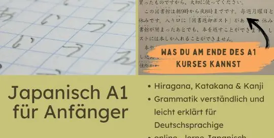 Das Wichtigste beim Japanischlernen und bei allen anderen Sprachen ist das Dranbleiben. Warum so viele Leute – und ich fast auch – schnell wieder aufhören oder sehr lange brauchen, bis sie ans gewünschte Ergebnis kommen?