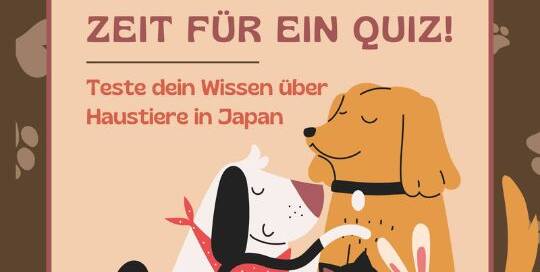 Zur Abwechslung gibt’s heute mal ein kleines Quiz zum Thema Haustiere in Japan! *(Nach einer Umfrage aus dem Jahr 2023, bei der ca. 20.000 Personen befragt worden sind.)