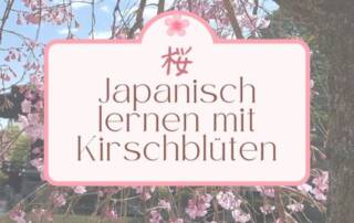 Es ist soweit, die Kirschblütenzeit hat angefangen! Die Kirschblüte ist neben dem Berg Fuji (sag niemals Fuji-yama zu ihm – richtig ist: Fuji-san – das hat mit der richtigen Kanjilesung zu tun) eines der bekanntesten Symbole Japans